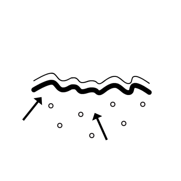 Vegan Collagen Capsules