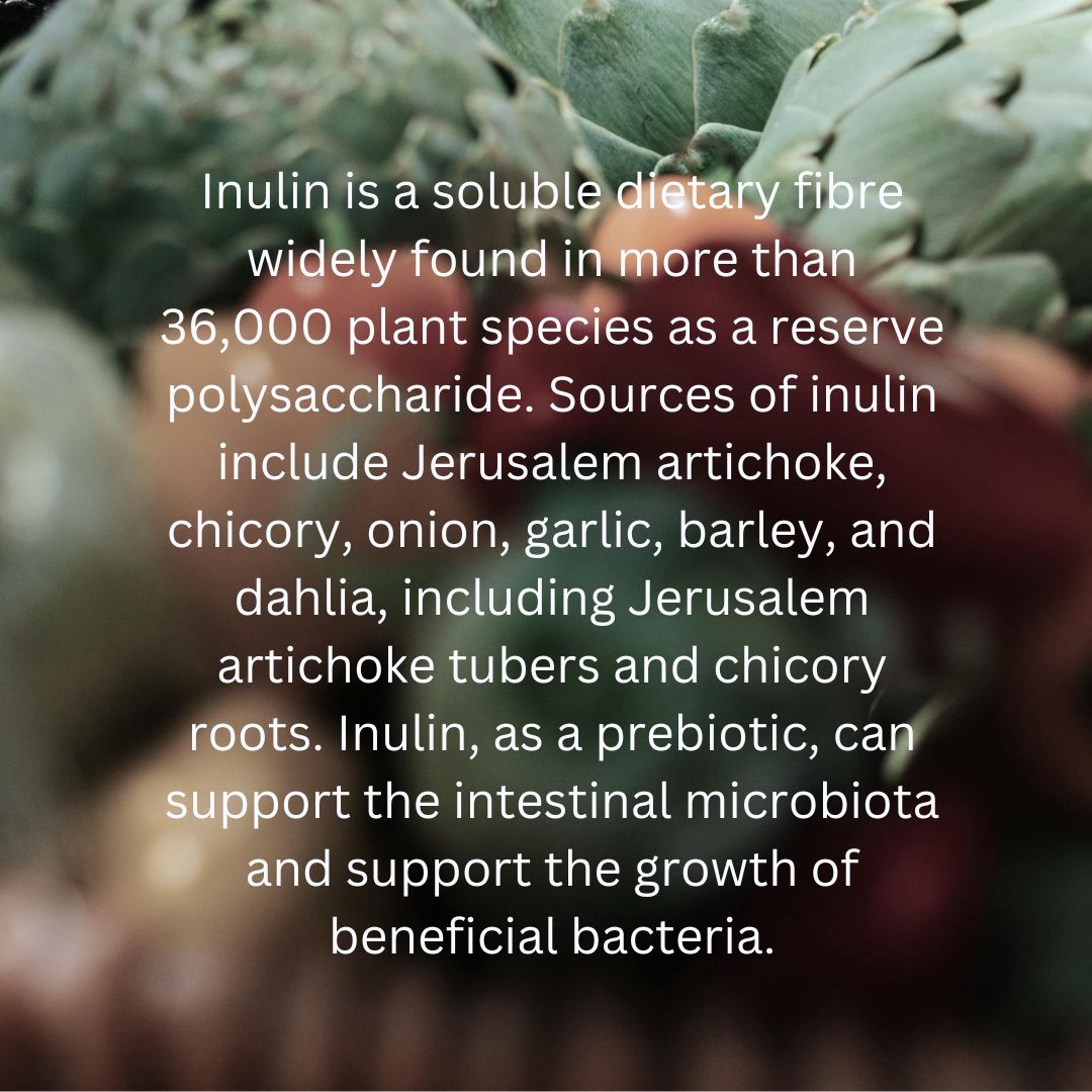 Essential Daily Probiotic Capsules+ Gut Support