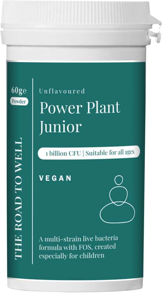 Power Plant Junior