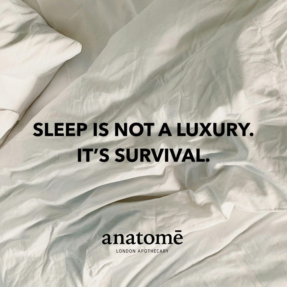 Restless Mind Sleep Oil | Roman Chamomile