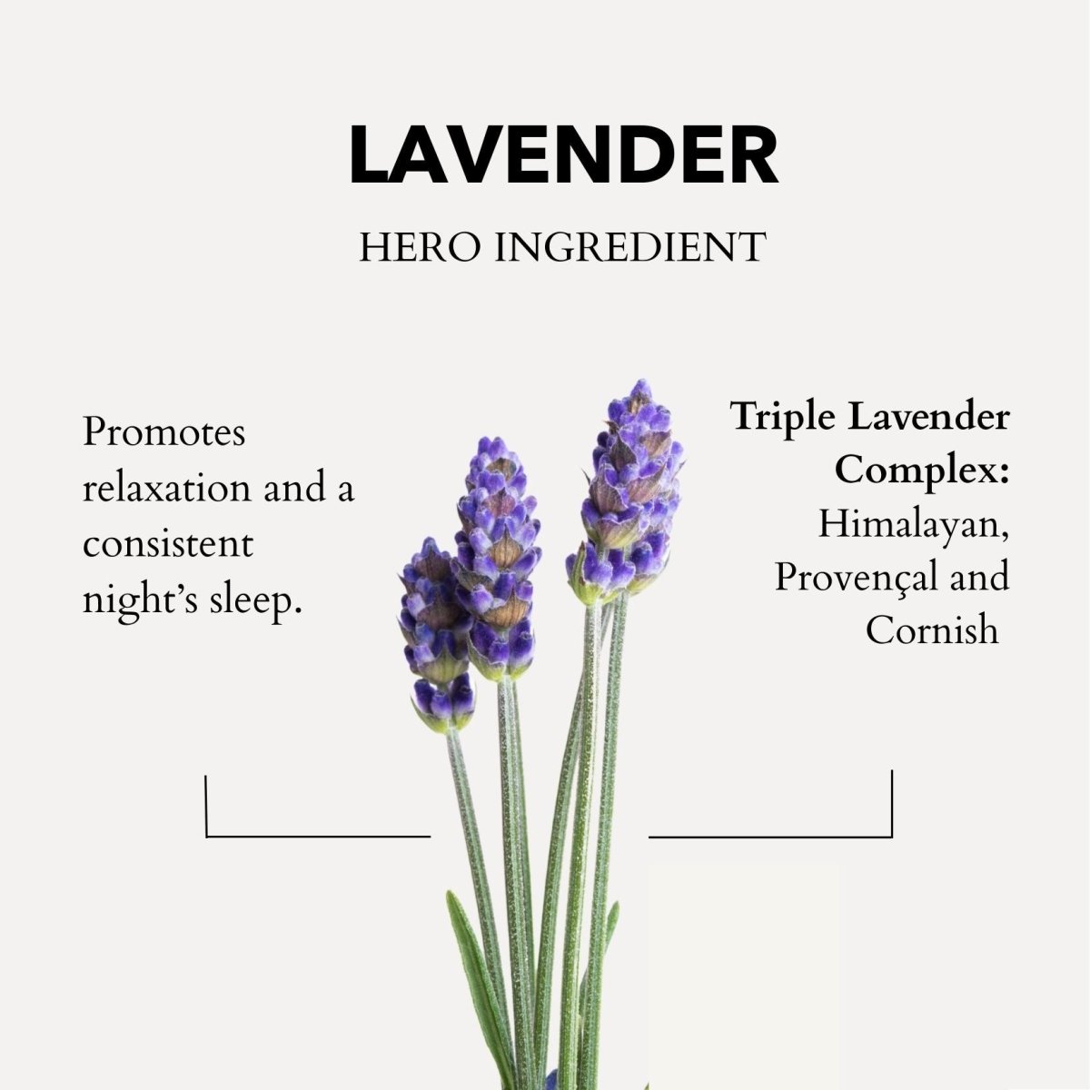 Cornish Lavender Bath Oil & Shower