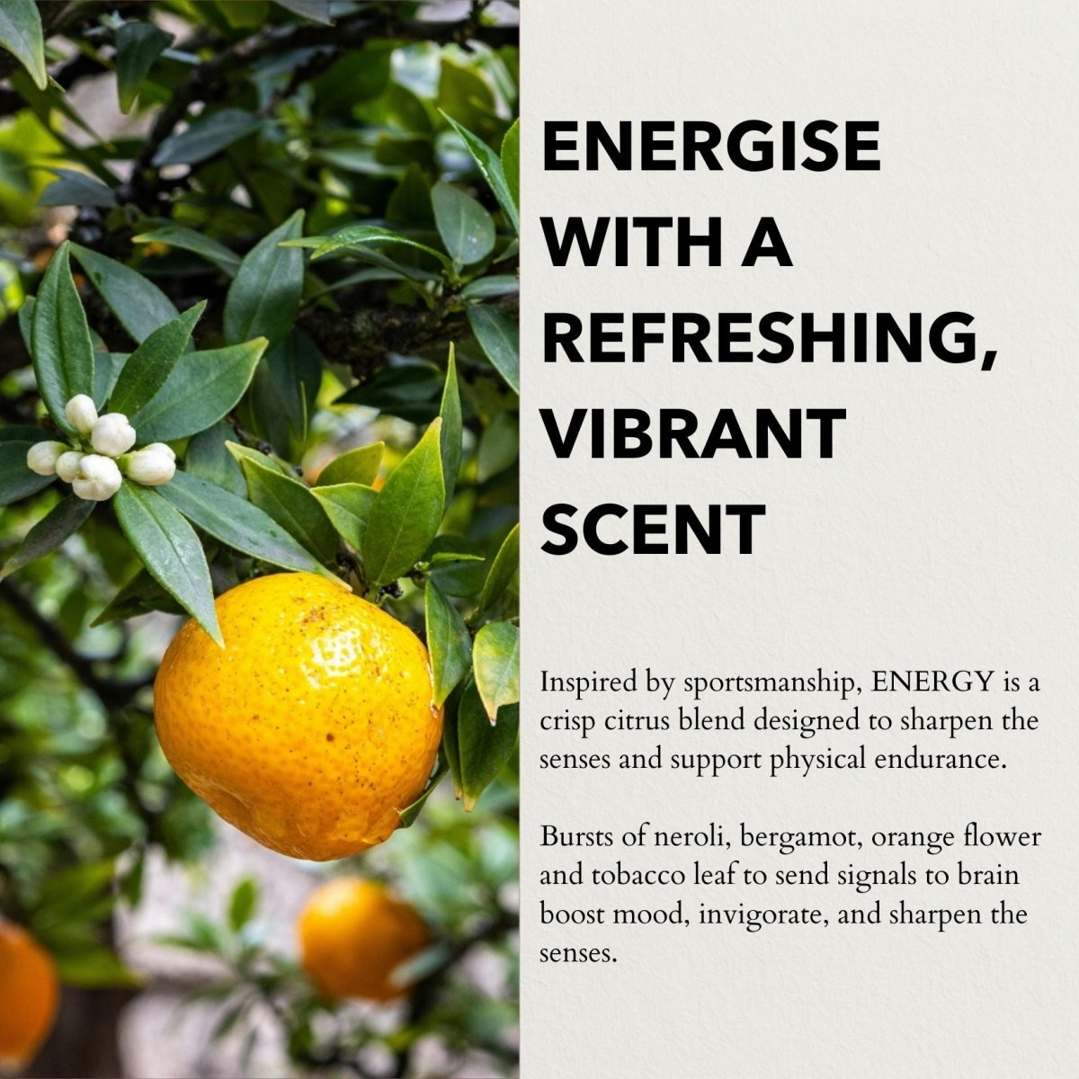 Energy Functional Parfum 10ml